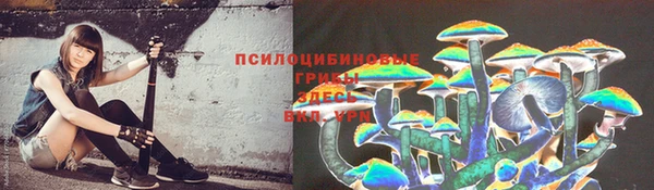 стафф Белокуриха