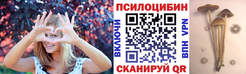 Галлюциногенные грибы мицелий  закладка  Волжск 