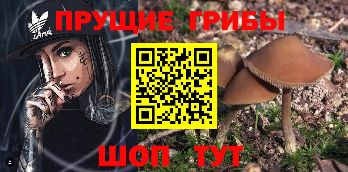 Меф  СОЛЬ CK  Цена  Вход с VPN  Волжск  Гарик  Хэш  Марихуана 