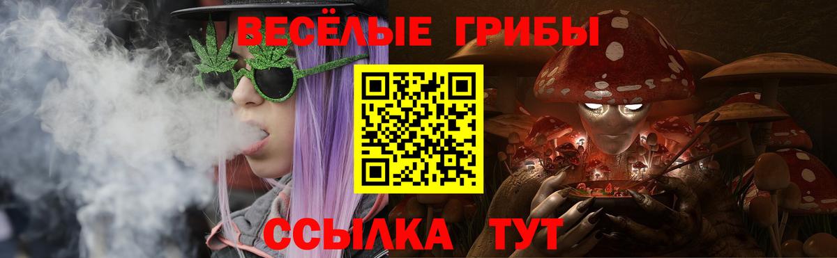 Галлюциногенные грибы Psilocybe  Галлюциногенные грибы Cubensis  Вход с VPN  Волжск 